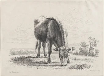 牛の放牧、1805年、1805年。