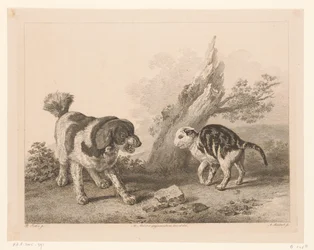 向かい合って戦う体勢の犬と猫 オランダの巨匠による絵画後の動物（シリーズタイトル） Différens animaux gravés d