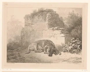 壁の前で寝ている犬 オランダの巨匠による絵画後の動物（シリーズタイトル） Différens animaux gravés d