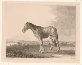 川の風景の中に立って馬 オランダの巨匠による絵画後の動物（シリーズタイトル） Différens animaux gravés d