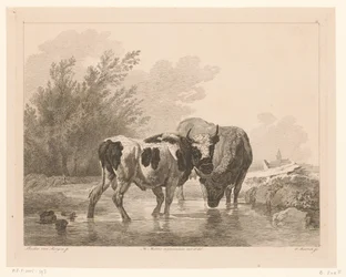 小川の 2 頭の牛 オランダの巨匠による絵画後の動物（シリーズタイトル） Différens animaux gravés d