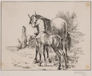 馬と子馬