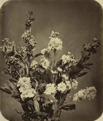 花束