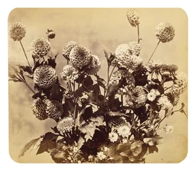無題、c。 1860（アルブメンプリント）