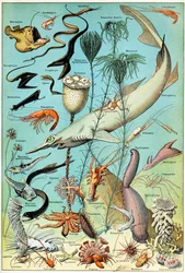 深海の水中シーンのイラストc.1923