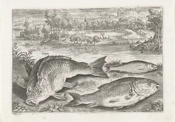 岸辺に 3 匹の鯉 釣り（連載タイトル） Piscium v​​ivae アイコン (シリーズ タイトル)