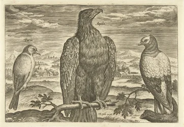 風景の中の 3 羽の鳥 Avium Vivae (シリーズタイトル) 鳥（シリーズタイトル）