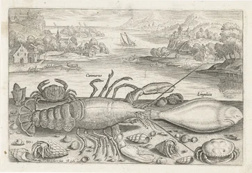 ビーチで魚といくつかの甲殻類 釣り（連載タイトル） Piscivm vivae アイコン (シリーズ タイトル)