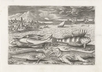ビーチでいくつかの魚とセイウチ 釣り（連載タイトル） Piscivm vivae アイコン (シリーズ タイトル)