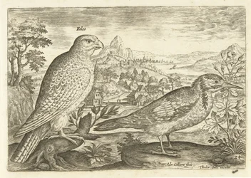 風景の中の 2 羽の鳥 Avium Vivae (シリーズタイトル) 鳥（シリーズタイトル）