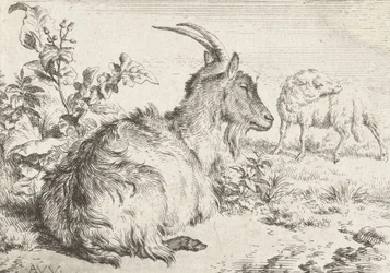 横たわるヤギ、1670年