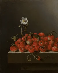野生のイチゴのある静物、1705年（パネルに紙に油彩）