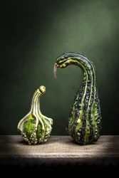 「好奇心あふれるひょうたん」の展示