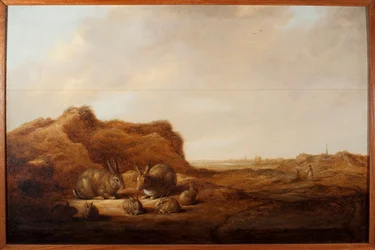 うさぎのいる風景 アルベール（アエルベルトまたはアエルブレヒト）・カイプ（1620-1691）による絵画 1641-1642年 薄暗い。44x67 cm ゲネス、ストラーダ・ヌオーヴァ美術館（元ロッソ宮殿