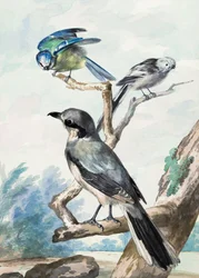 一石三鳥