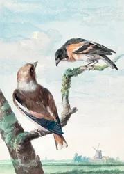 一石二鳥　オオハシヒワ