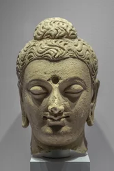 不明な画像