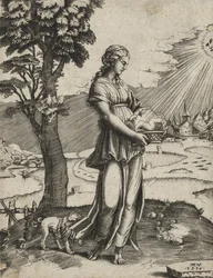 Cumaean Sybil、1516（敷設紙に彫刻）