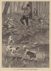 カワウソの狩猟