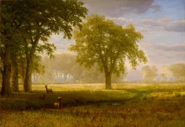 オークグローブのエルク（Tuolumne Meadows）