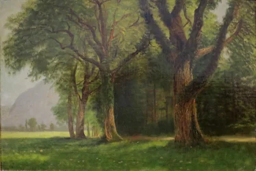 ヨセミテの谷にて