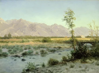 大草原の風景
