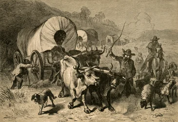 西部の国への移住、1877年。