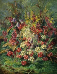 ベルフラワー、トネリコ、ゴースと蝶。アルベール・デュラー・ルーカス（1828-1918）作