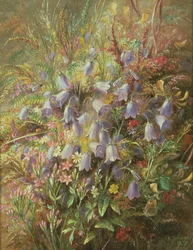 Harebellsと他の森林の花と草