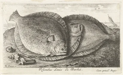 ビーチで 3 つのひよこ Rhombus Laeuis La Barbuë (オブジェクトのタイトル) 魚とその他の海の生き物 - 海水の第 3 シリーズ (シリーズ タイトル) Poissons de mer（シリーズタイトル）