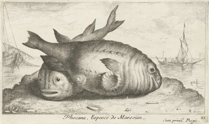ビーチで 2 つのネズミイルカ Phoca Na, Espèce de Marsoüin, (オブジェクトのタイトル) 魚とその他の海の生き物 - 海水の第 3 シリーズ (シリーズ タイトル) Poissons de mer（シリーズタイトル）