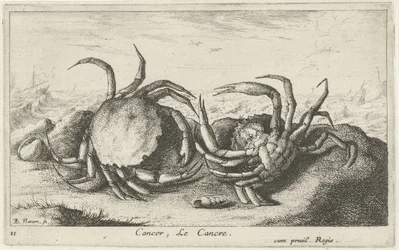 ビーチで 2 つのカニ Cancer, Le Cancre (オブジェクトのタイトル) 魚とその他の海の生き物 - 海水の最初のシリーズ (シリーズ タイトル) Diverses Especes de Poissons de mer (シリーズタイトル)