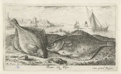 ビーチで 2 つのヒラメ プセッタ。 ラ・プライ。 (アイテムのタイトル) 魚とその他の海の生き物 - 海水第二シリーズ (シリーズ タイトル) Poissons de mer（シリーズタイトル）