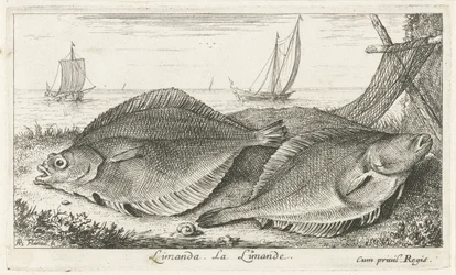 ビーチでの 2 つの塗りつぶし リマンダ。 ラリマンド。 (アイテムのタイトル) 魚とその他の海の生き物 - 海水第 3 シリーズ (シリーズ タイトル) Poissons de mer（シリーズタイトル）