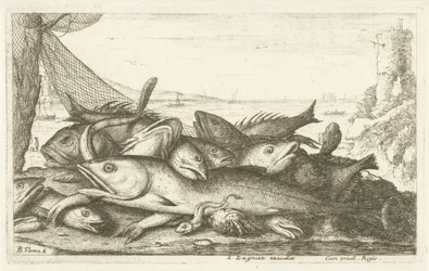 ヤドカリ釣り 魚種の違い（連載タイトル） Diversees Especes De Poissons tant de Mer, que d