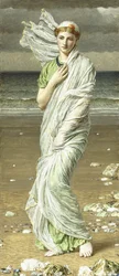 海の貝殻、1875