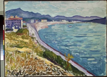 ""Saint Jean de Luz"" Vue de la cote basque a Saint-Jean-de-Luz (Pyrenees Atlantiques). Peinture de Pierre-Albert (Albert) Marquet (1875-1947) 1907 Huile sur toile. Musee de l