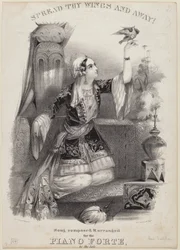 翼を広げて離れて！