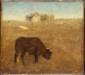 1870年代初頭から半ばまでの夕方の輝き、古い赤牛