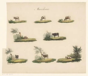 Koeien in landschap Macédoine (title on object)   1344377   ja       japanese Successfully Translated  Original: Volwassen man The Compleat Work of Etchings by John Chalon / Oeuvre Complette des Eaux Fortes par Jean Chalon (series title) Translat: Volwasse