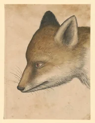 キツネの頭、左向き