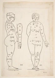 デューラーの「人間の比率に関する 4 冊の本」からの挿絵、ニュルンベルク、1528.nd.