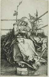 芝生の土手のマドンナ