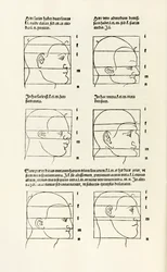 Hierinn sind begriffen vier bücher von menschlicher Proportion（人間の比率に関する4冊の本）」より、人間の頭部の比率。