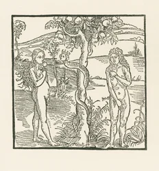 落下。リッター・フォン・ターン』の挿絵、1493-93年頃（木版画）