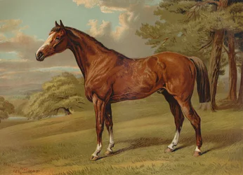 「スティルトン ハンター」、c1879。