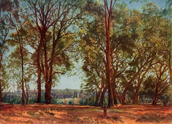アリッチ公園、1830年代、1965年。
