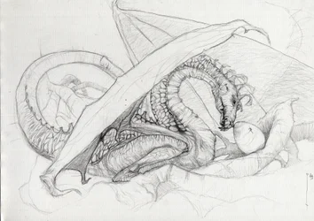 ファンタスティック クリーチャー: 卵を守るドラゴン。 アレッサンドロ・ロナティによる鉛筆画