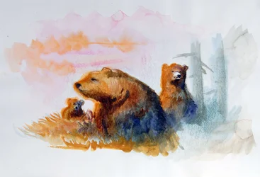 天然のクマの家族 イラスト：アレッサンドロ・ロナティ