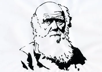 チャールズ ダーウィンの肖像 - イギリスの博物学者チャールズ ダーウィンの肖像 (1809-1882) イラスト